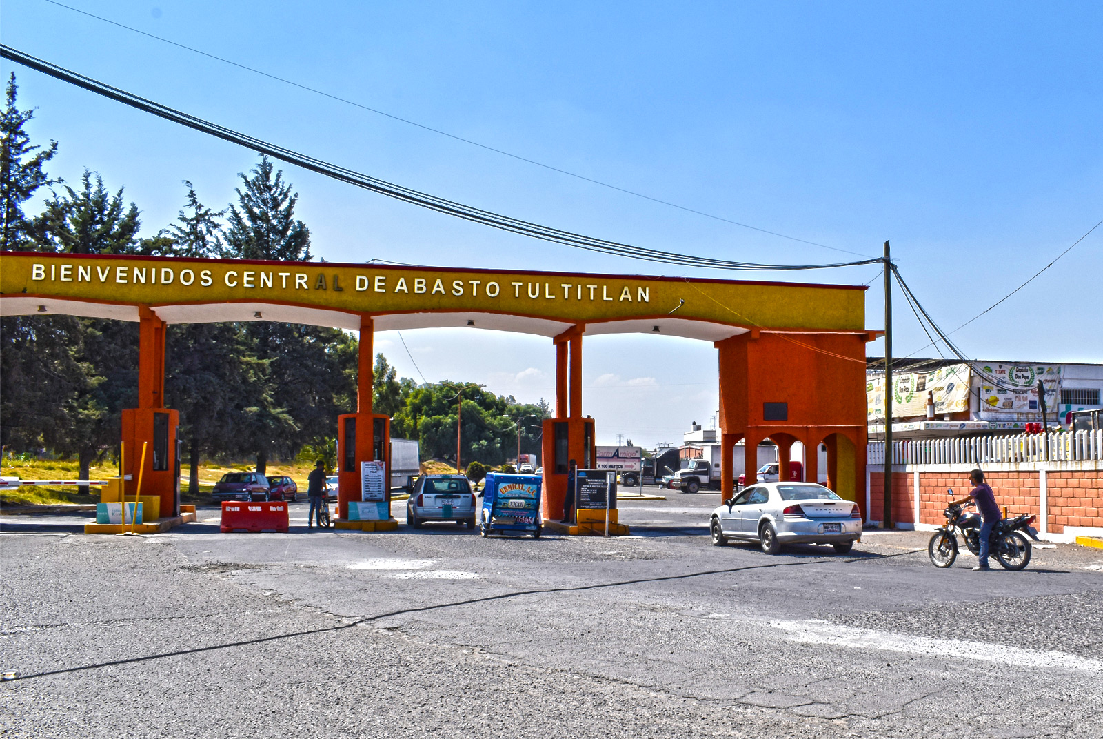 galeria6
